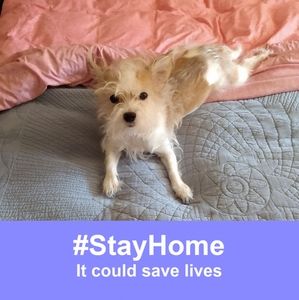 Meet your Posher, Lynda